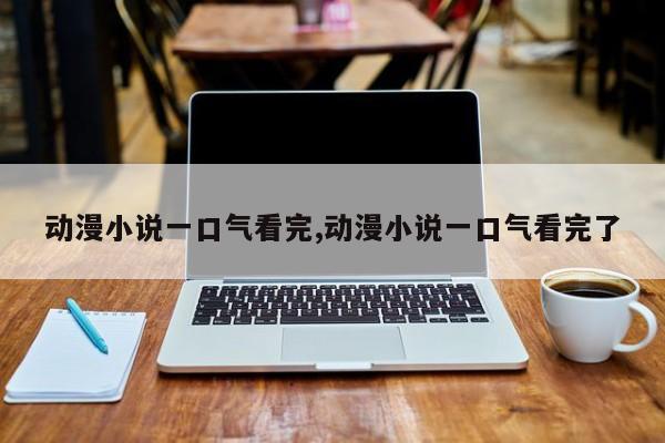 动漫小说一口气看完,动漫小说一口气看完了